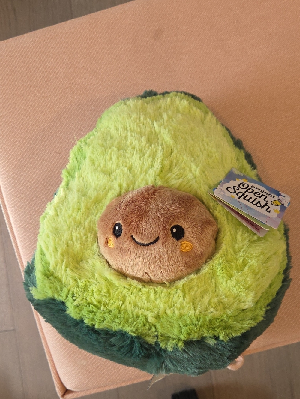 Squishable Avocado Bnwt